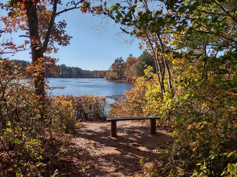 Borderland State Park - North Easton