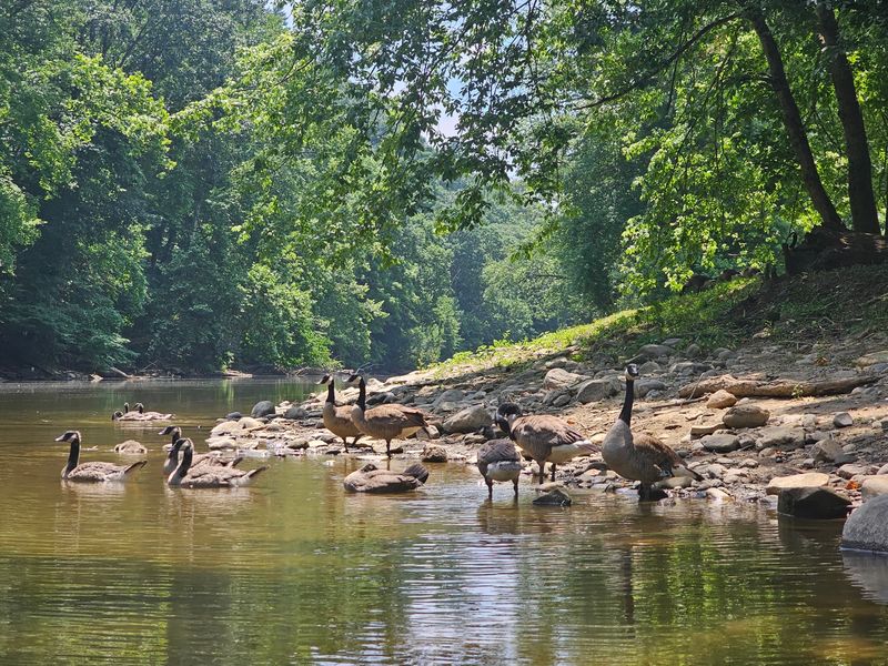 Shallow Water Keeps the Trip Friendly, Not Boring