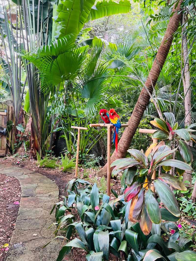 Sunken Gardens - St. Petersburg, Pinellas County