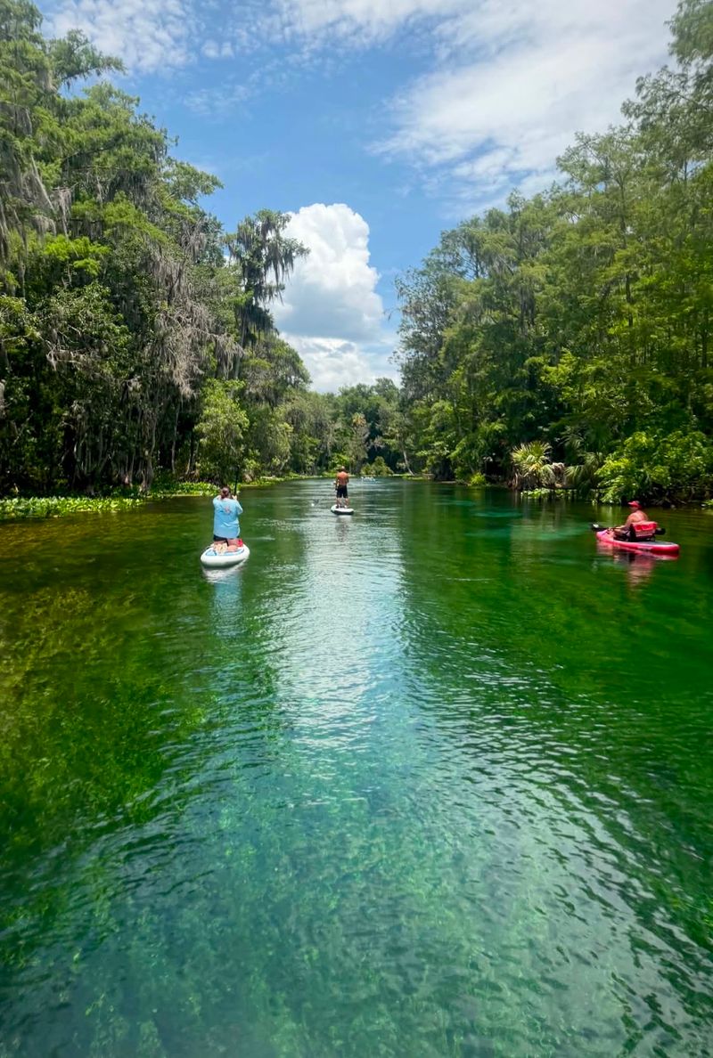 Silver Springs State Park - Ocala