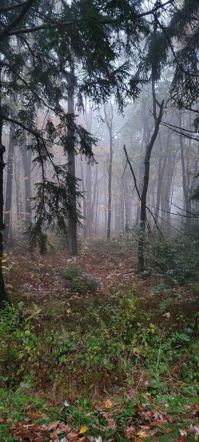 Laurel Highlands: A Low-Cost Mountain Weekend