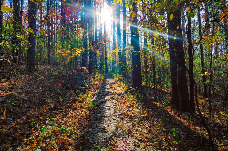 Tennessee Rock Trail - Clayton