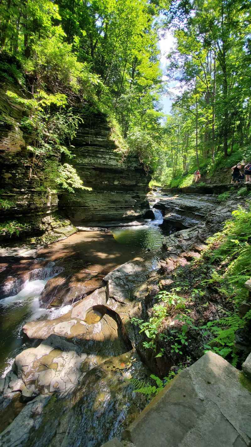 Buttermilk Falls and Finger Lakes Park-Hopping Loop