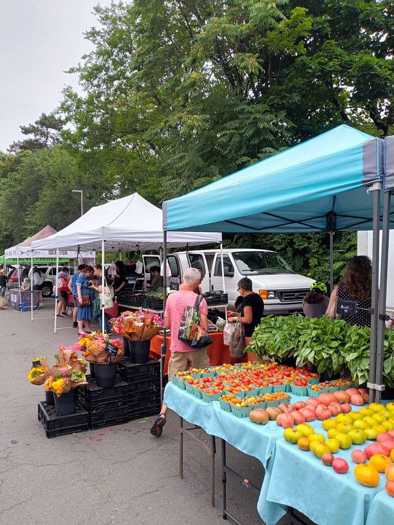 CitySeed Wooster Square Farmers' Market - New Haven