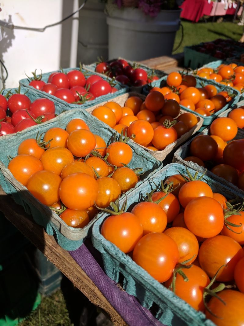 New Milford Farmers Market - New Milford