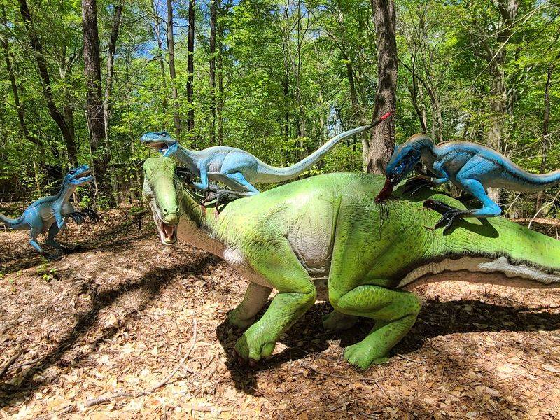 A Museum That Feels Like Walking Through a Habitat