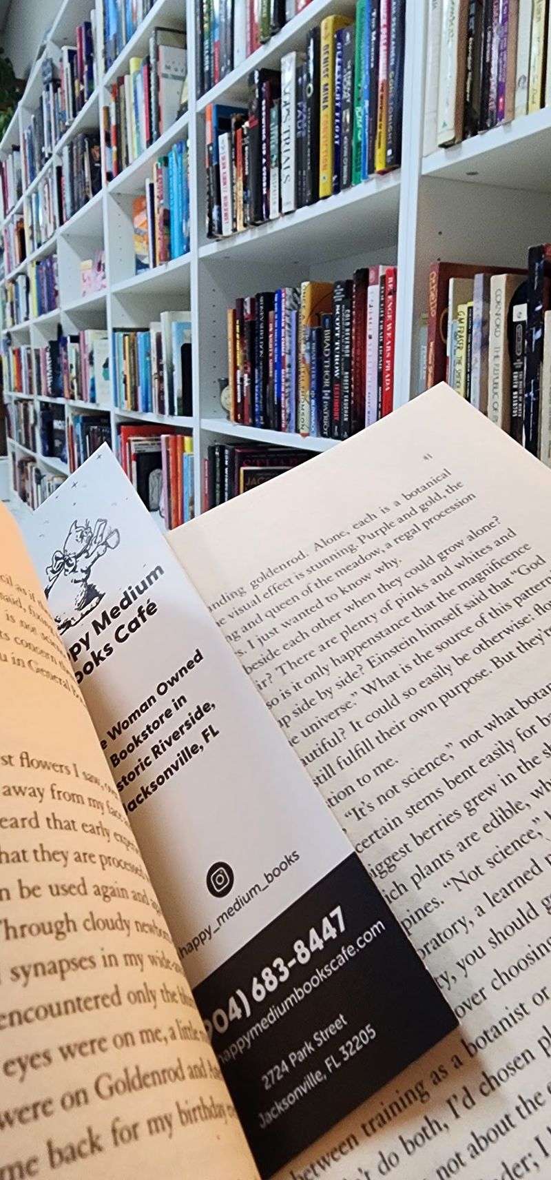 Book Clubs Where Strangers Become Friends