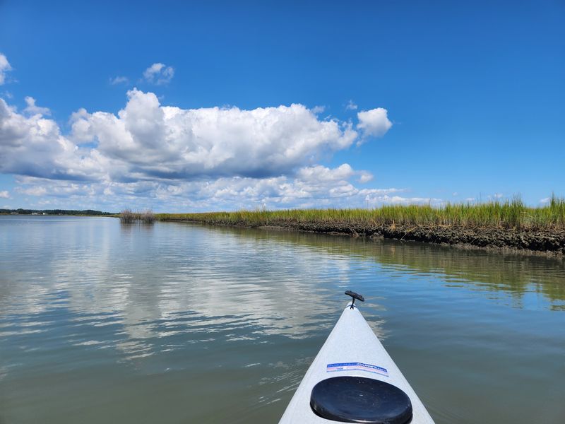 Paddling Through Pure Serenity