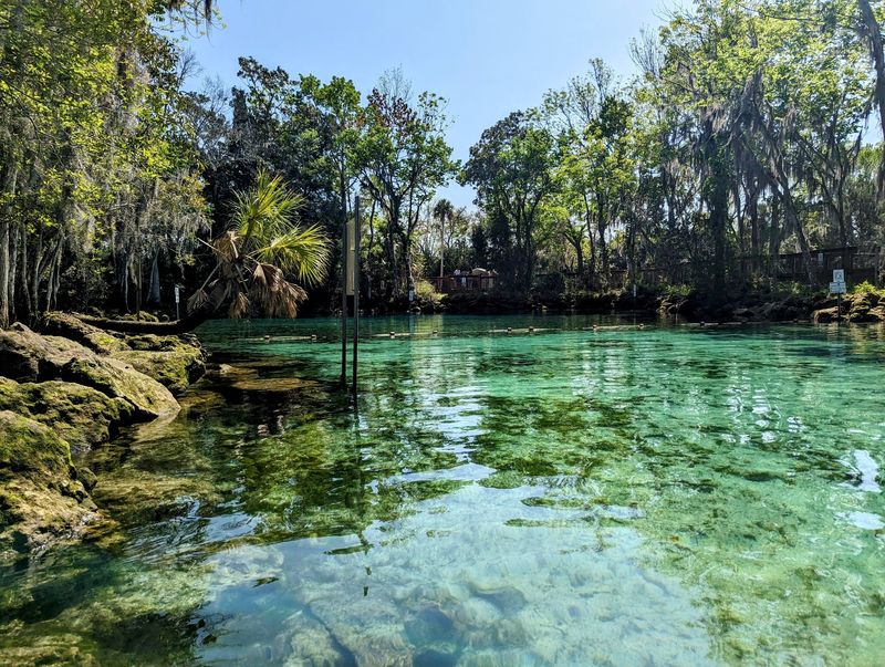 Paddling Toward Three Sisters Springs