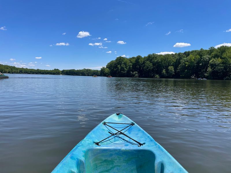 Lums Pond State Park - Bear