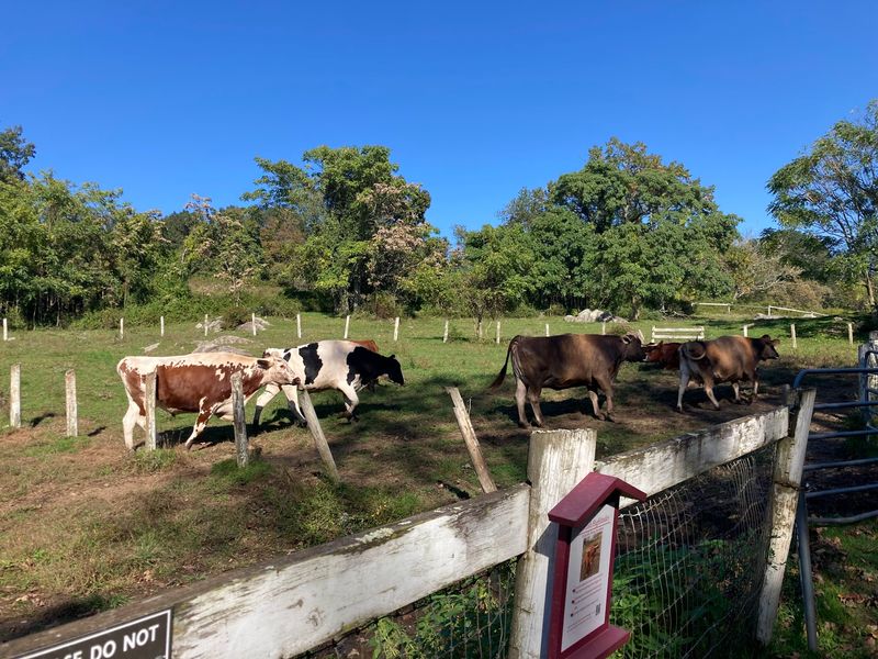 Muscoot Farm