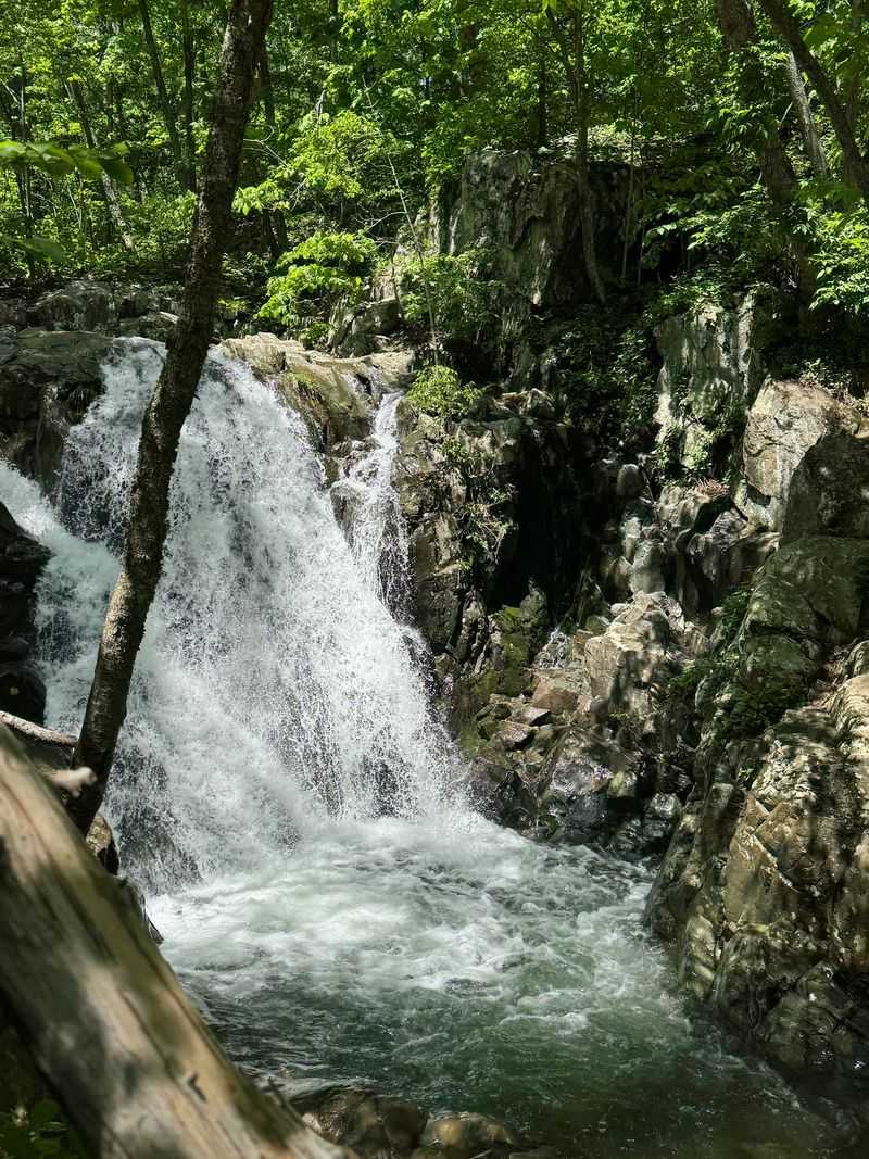Rose River Falls - Syria