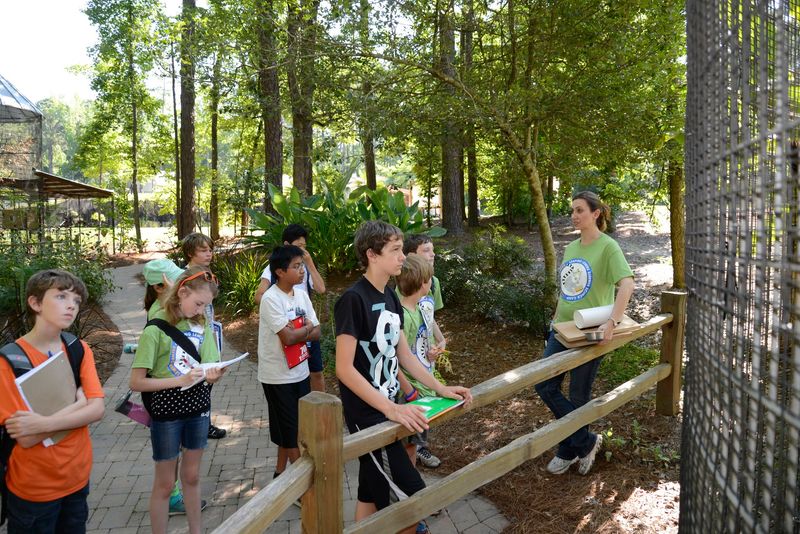 A Visit That Works for Animal Lovers and Curious Families