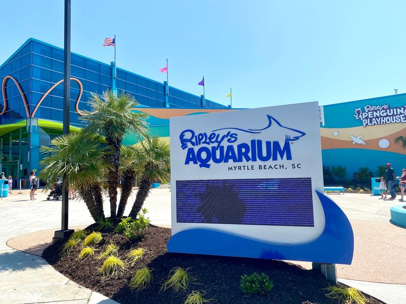 Plan Your Visit Before You Go