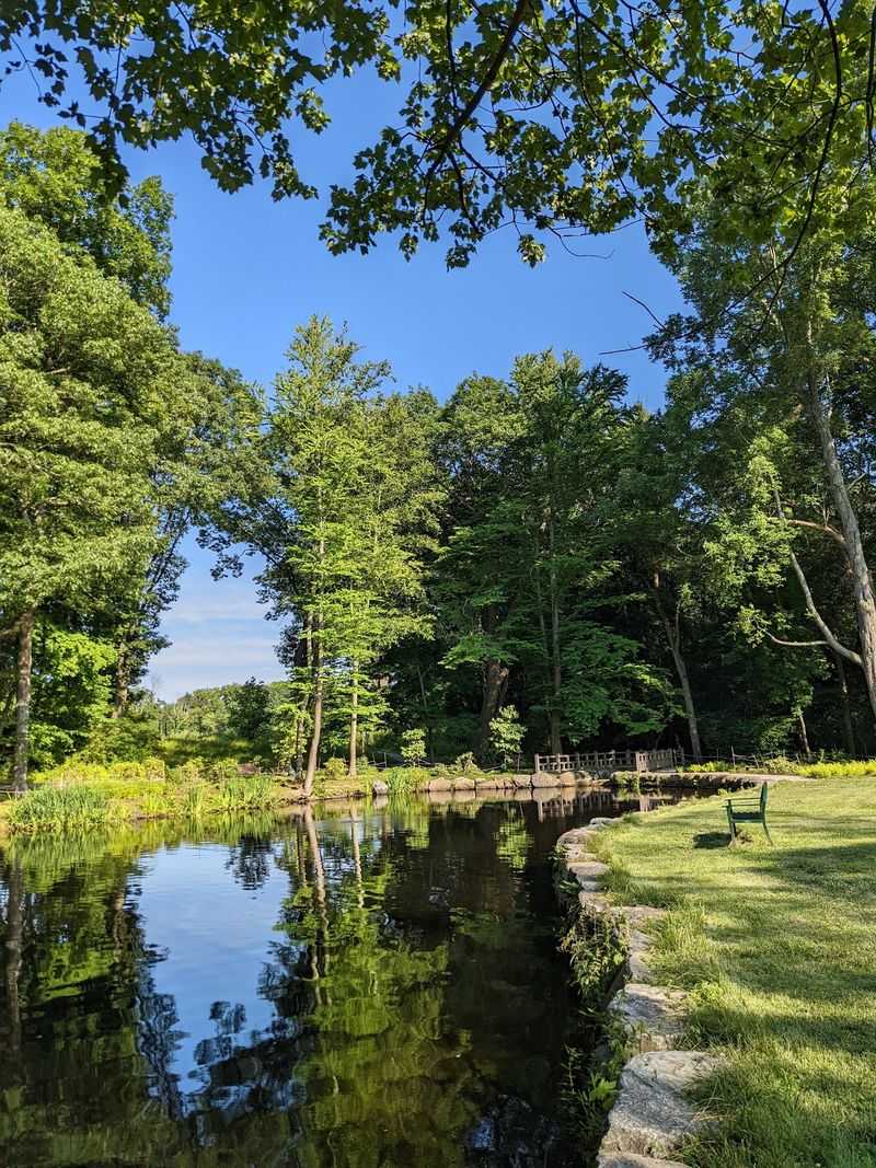 A Pond and Quiet Views Below the Lawn