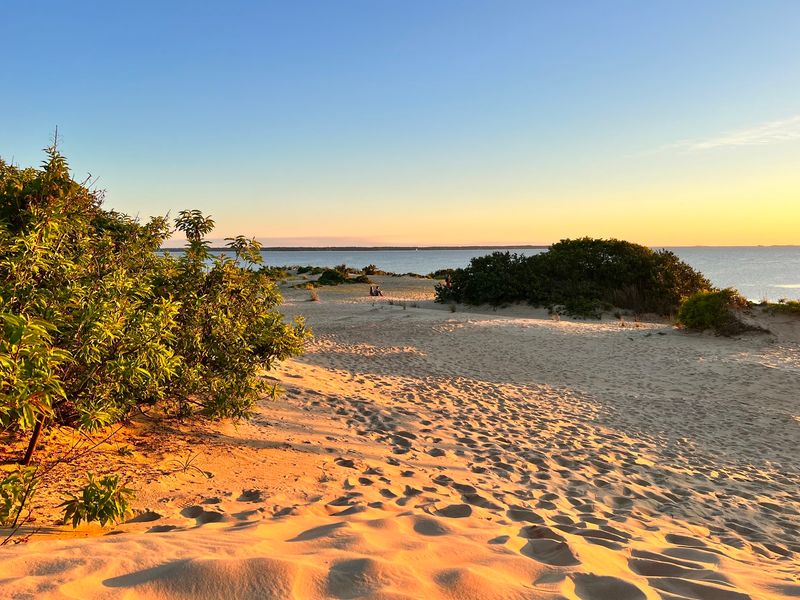Big Dune Energy - Jockey's Ridge State Park in Nags Head, Dare County