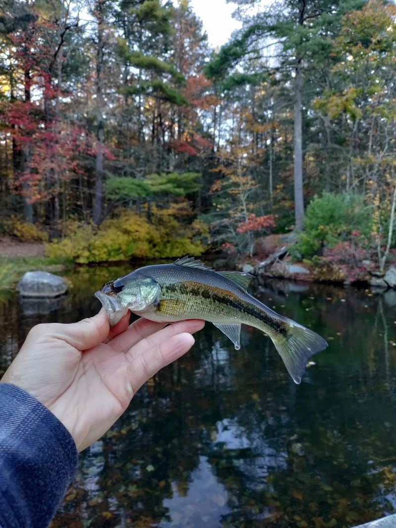 Fishing The Deep Channels