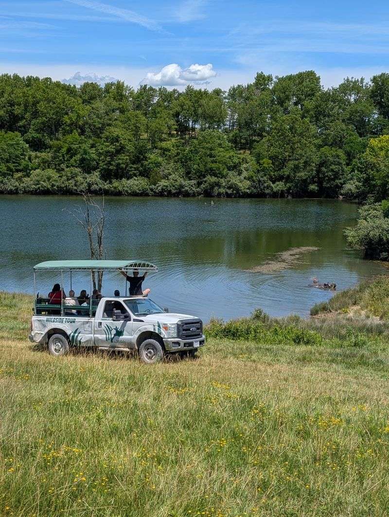 Guides Who Make the Safari Smarter and More Fun