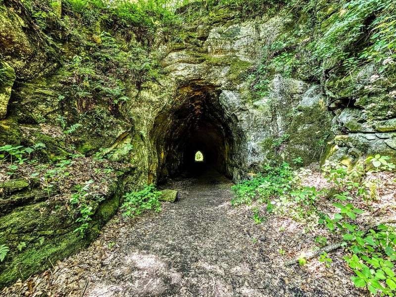 A Historic Cattle Tunnel Built for Farming