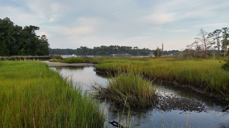 Cape Henry Trail, First Landing State Park, Virginia Beach, Virginia Beach City