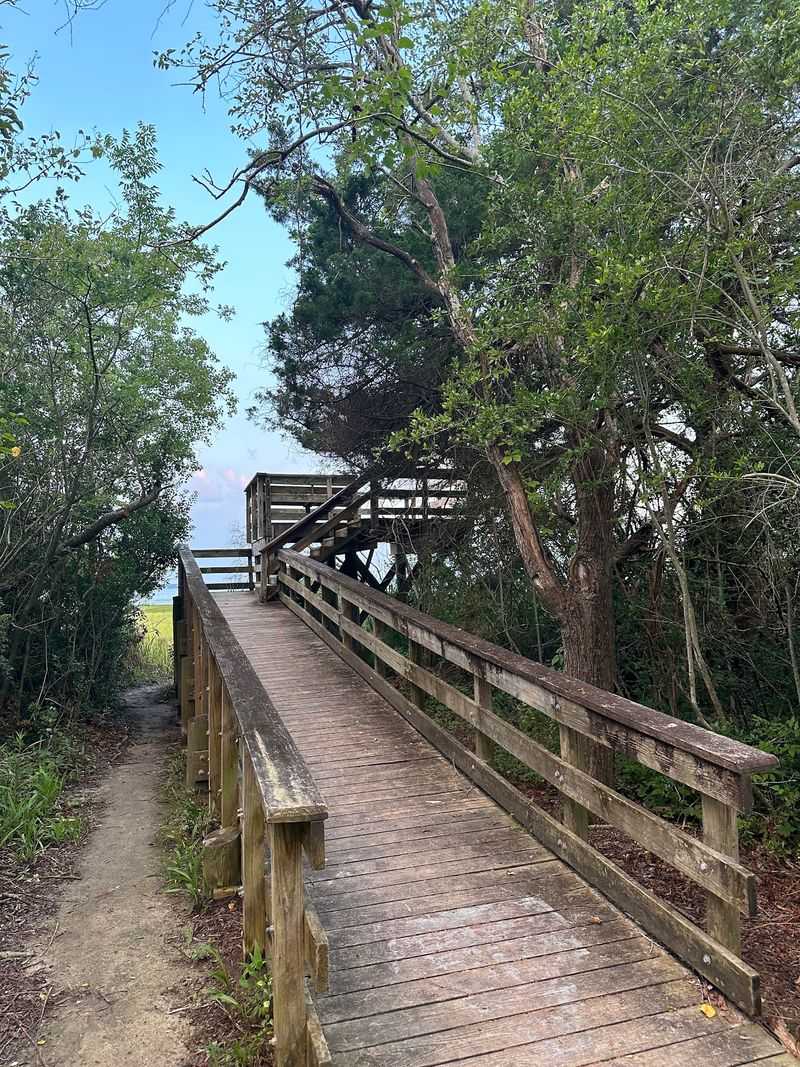 Hog Island Trail And Observation Deck