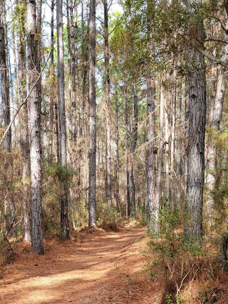 Trails Add A Second Adventure