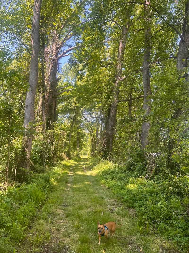 Smart Planning Makes This Hidden Gem Even Better
