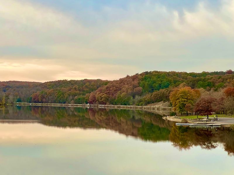 Four Seasons of Changing Natural Beauty