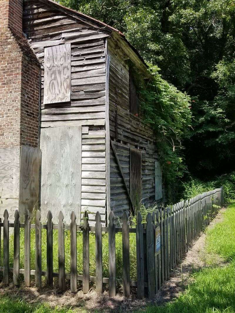 The Fascinating Human History Hidden in the Swamp