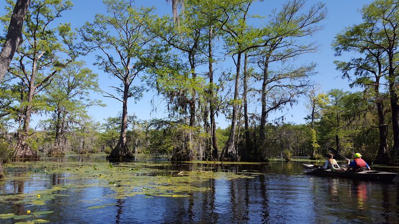 Canoe rentals make the trip easier to try