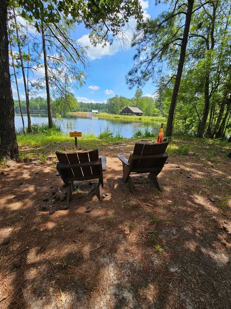 Carvers Creek State Park - Spring Lake