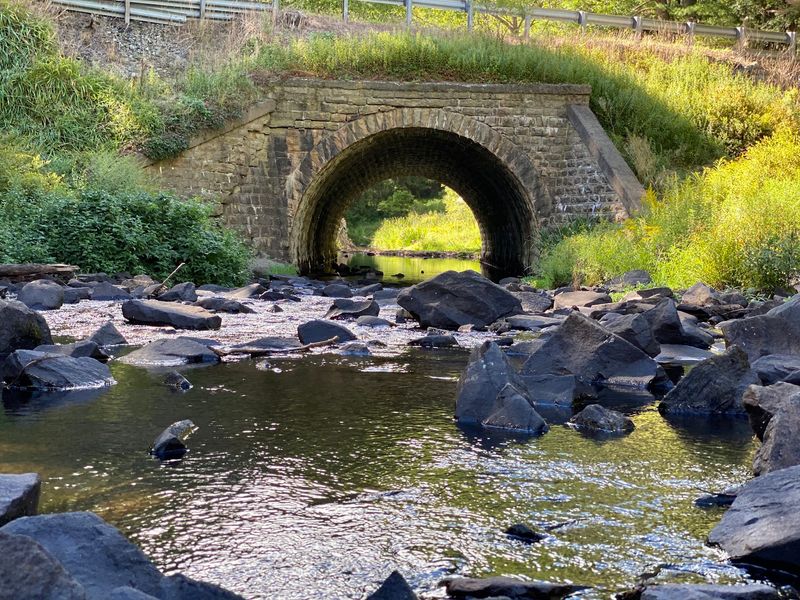 Promised Land State Park and the Pocono Mountains: Camp, Swim, and Unplug