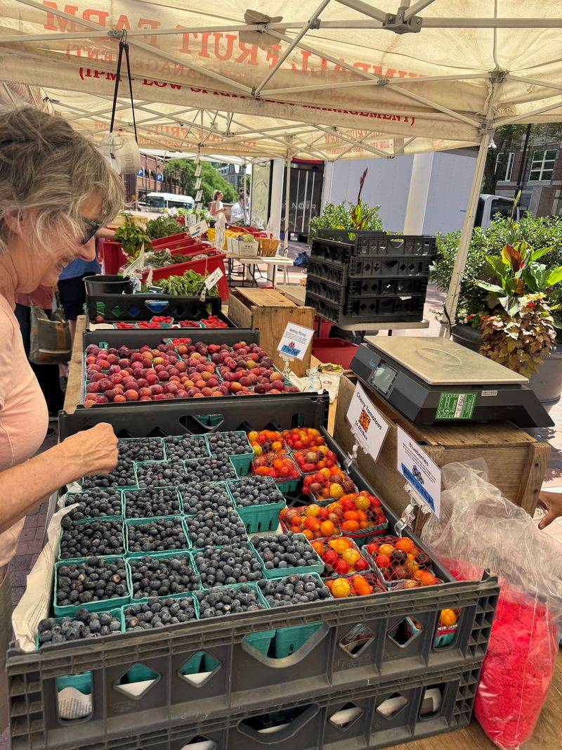 Charles Square Farmers Market - Cambridge