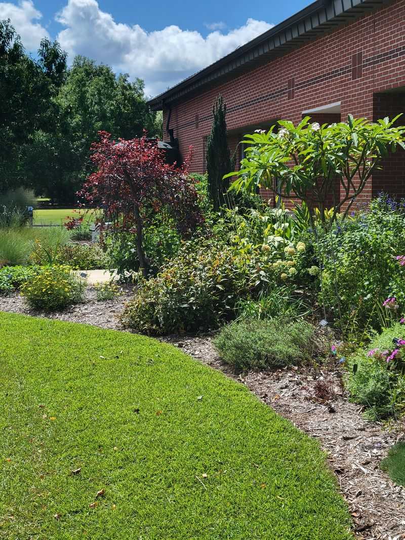 Pitt County Arboretum - Greenville