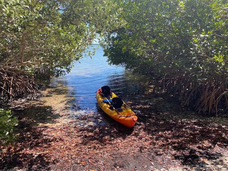 Mound Key Archaeological State Park - Estero