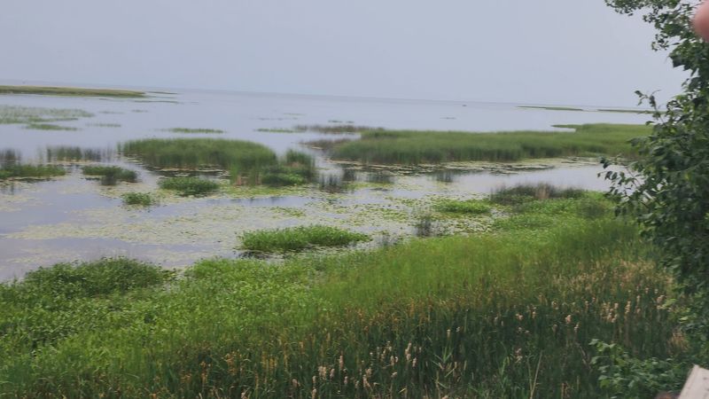 Saginaw Bay Observation Tower - Pinconning