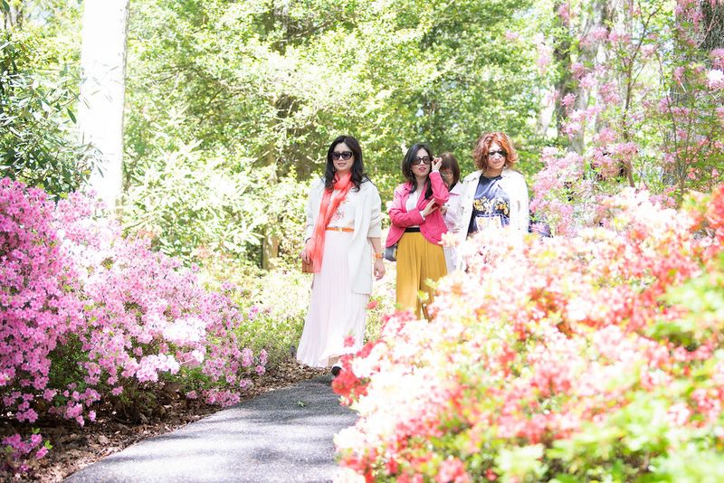 Azaleas, Rhododendrons, And A Gentle Pace At Jenkins Arboretum & Gardens