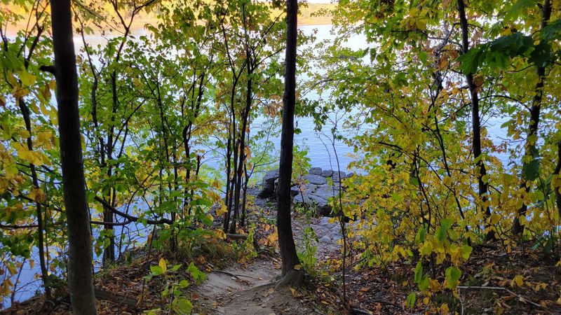 Squire Point Trail