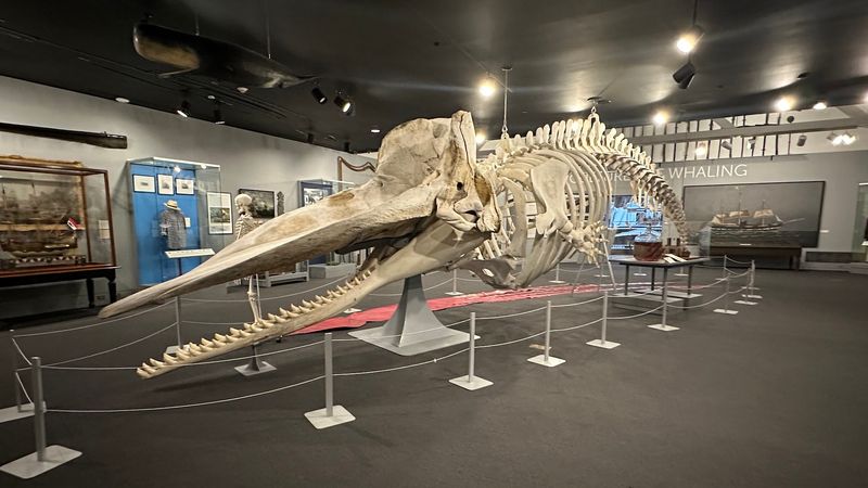 New Bedford Whaling Museum, New Bedford, Bristol County