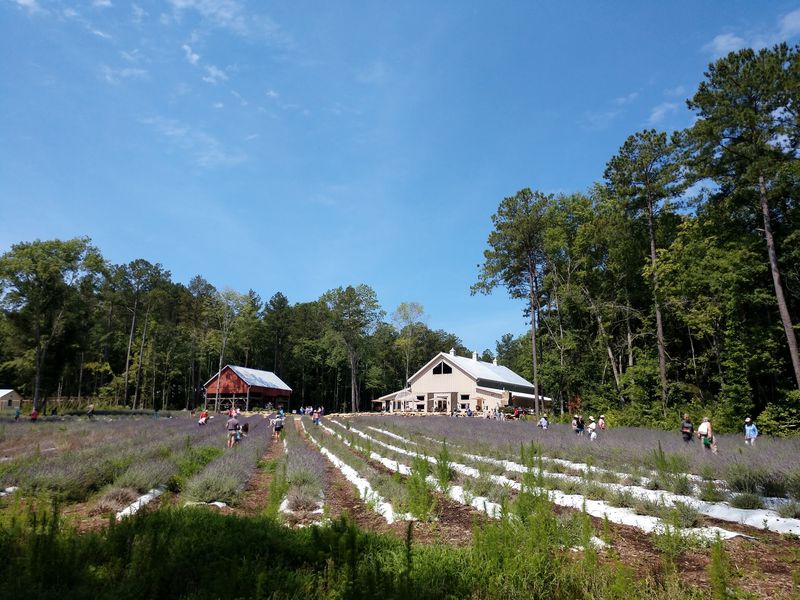 Fifteen Minutes From Chapel Hill, Worlds Away in Feel