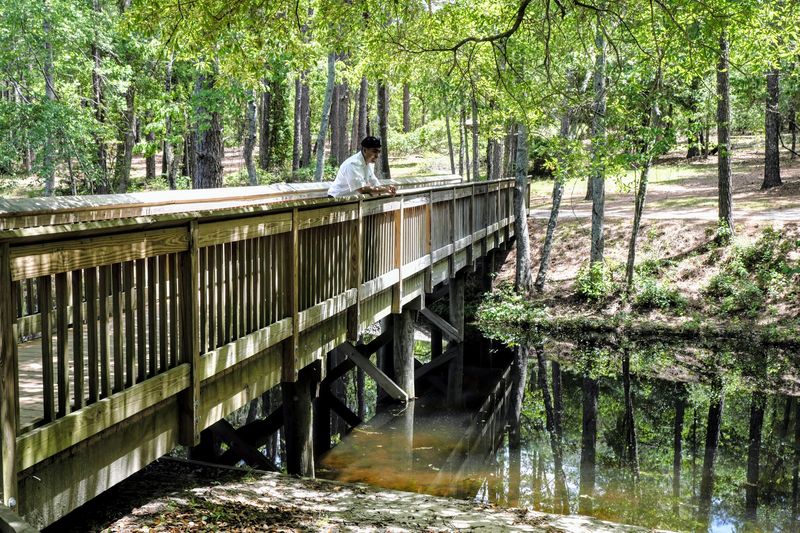 Sesquicentennial State Park Sandhills Hiking Trails - Columbia