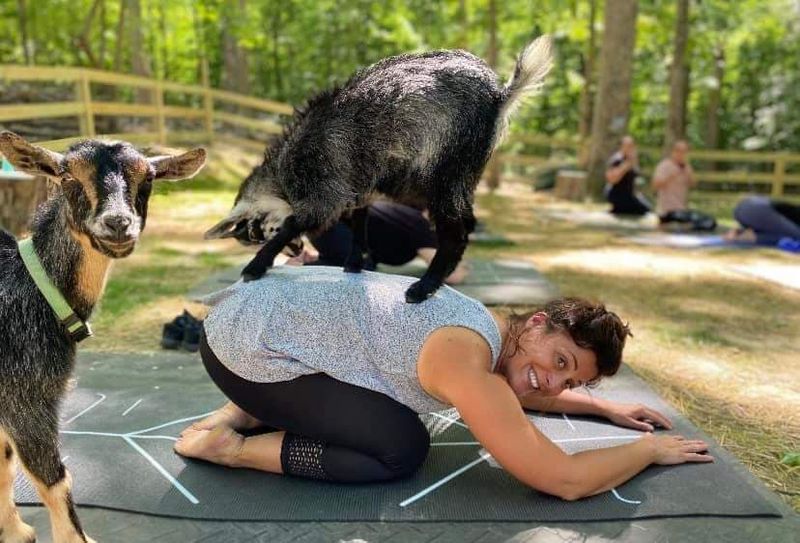 Hidden Acres Animal Sanctuary