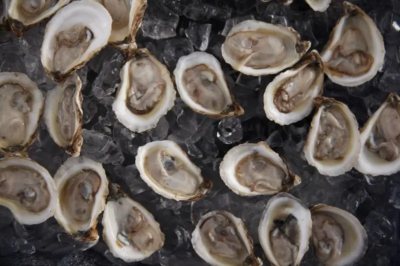 Chincoteague Oyster Festival - Chincoteague Island
