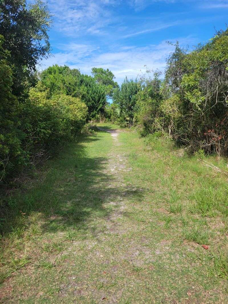The Hidden Walk Makes the Discovery Feel Earned