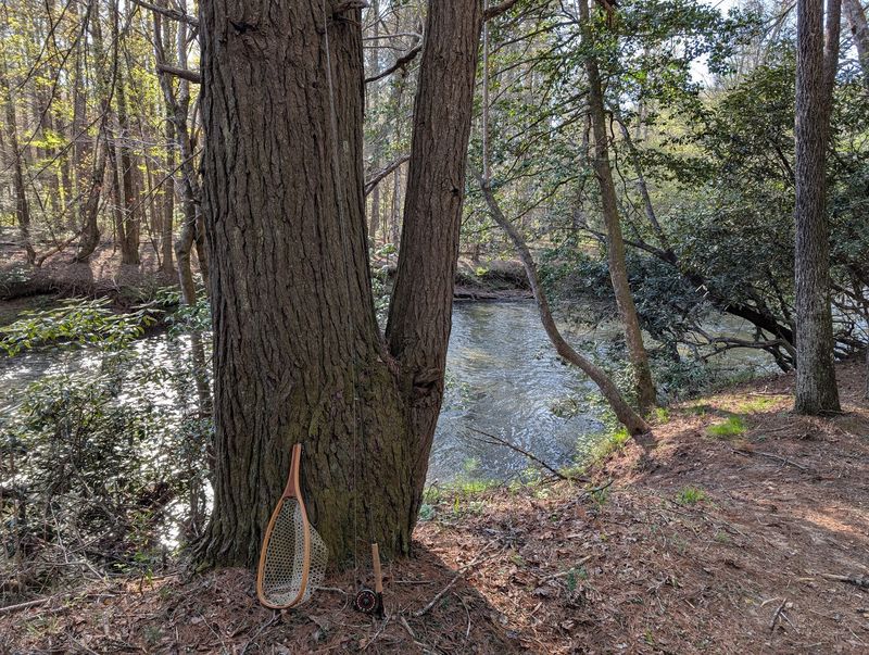 Trout Water With Real Promise