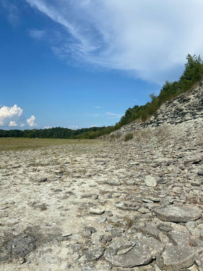 One of America's Few Places Where You Can Legally Collect Ancient Fossils