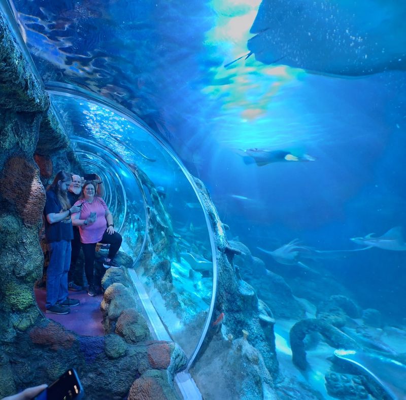 A Tunnel That Turns Heads