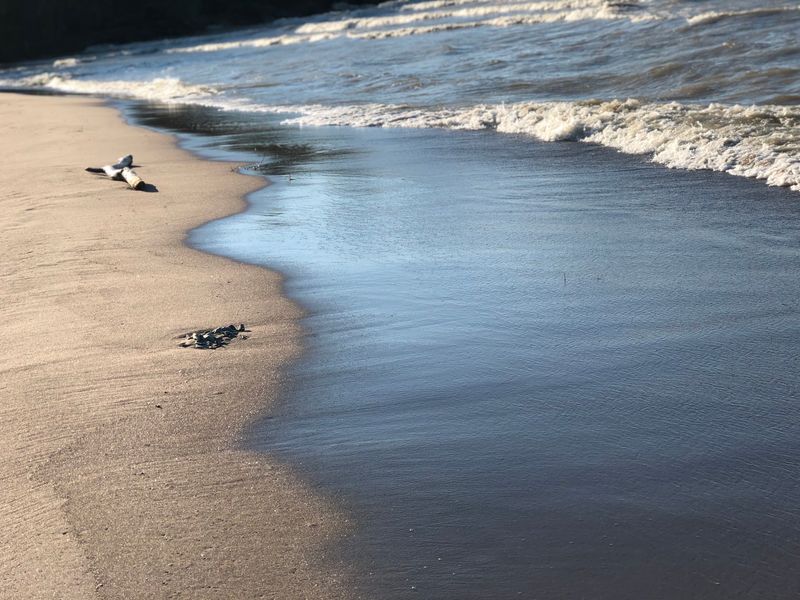 Soft Sand That Feels Vacation-Ready