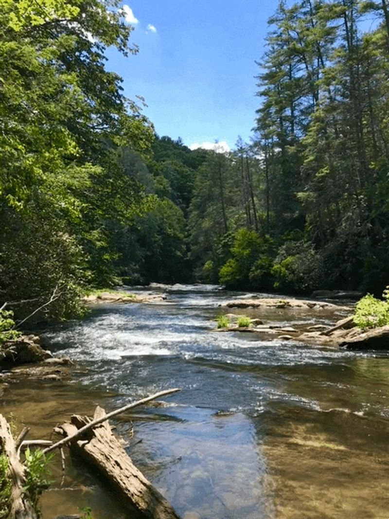 Suches, Union County,