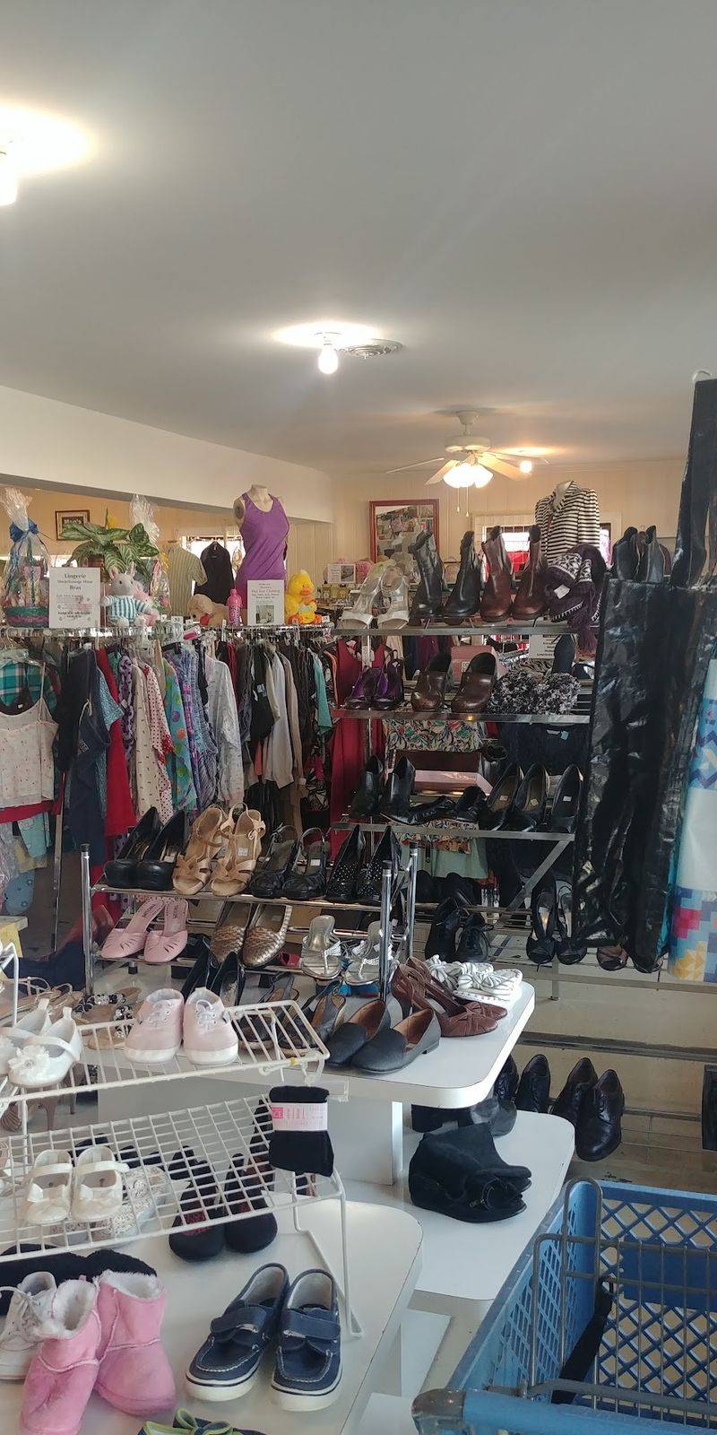 Why Thrift Shoppers Should Still Browse With a Sharp Eye